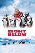 Eight Below